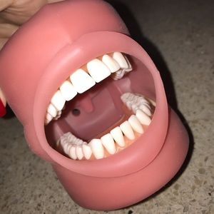 Kilgore dental typodont